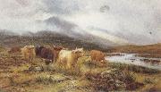 Louis bosworth hurt Highland Cattle on the Banks of a River (mk37) oil on canvas